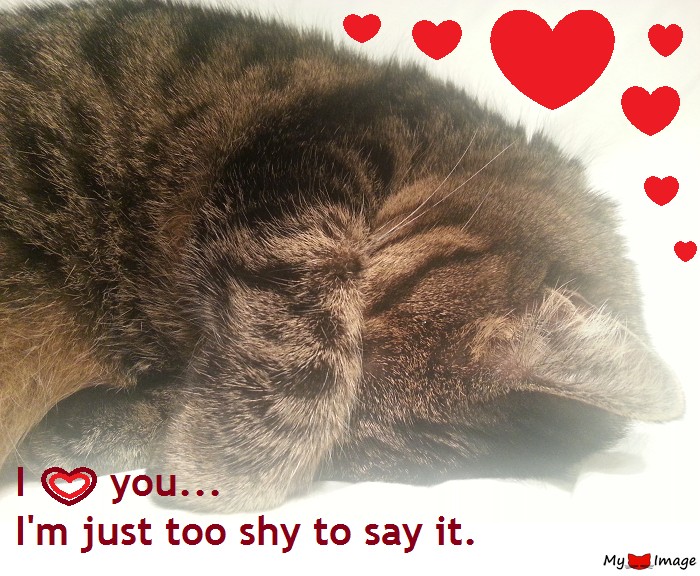 I love you, but I’m too shy to say it…