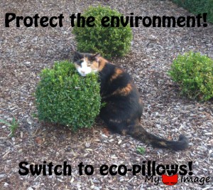 ecological solution